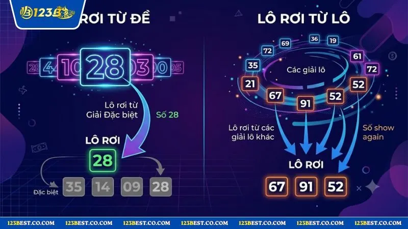 Sơ đồ trực quan phân biệt hai loại lô rơi cơ bản giúp áp dụng cách bắt lô rơi theo tuần dễ dàng hơn
